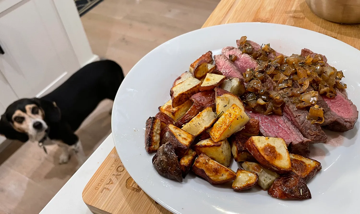 Beagle gazes up at a perfectly medium rare sliced flank steak topped with an onion sauce and served with cripsy potatoes.