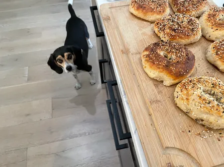 Bagels