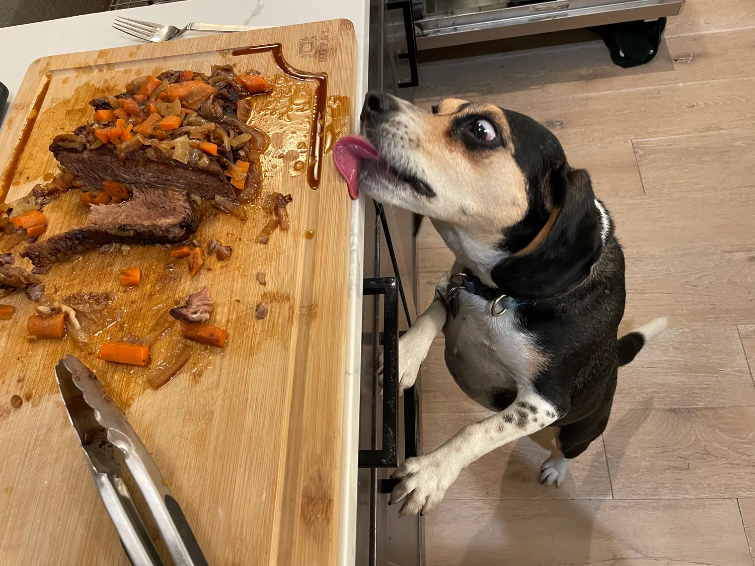 Dog stretches to lick the side of the cutting board