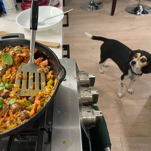 The House Lamb Paella