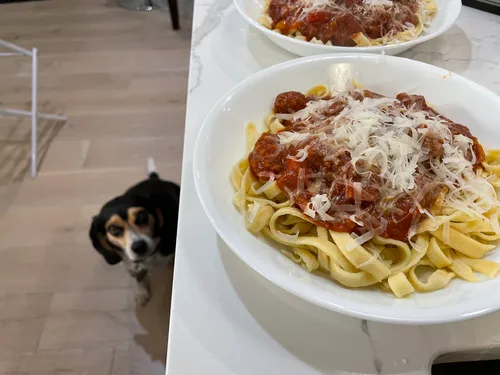 Fresh pasta with the legendary House tomato sauce