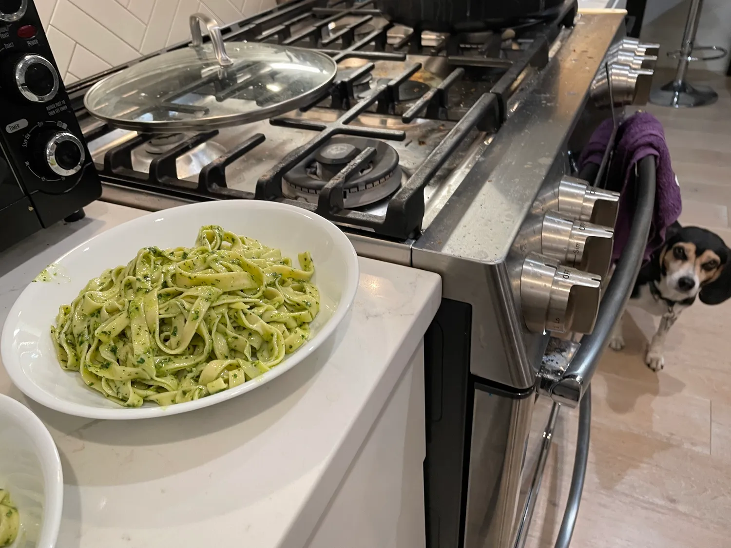 Pesto pasta